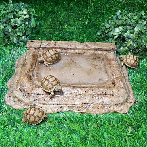 Bebedouro Piscina Jabuti Cagado Tartaruga Repteis bb 121 Artexotics