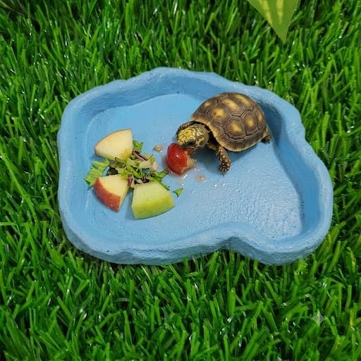 Comedouro Mini Para Repteis Hamster Cm 033 Artexotics